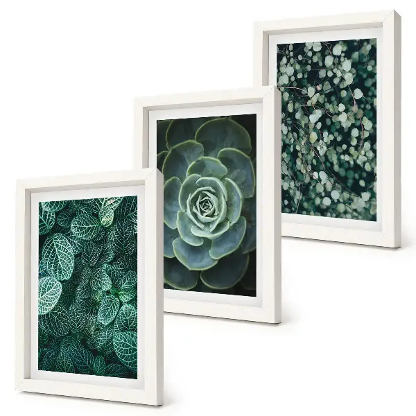 Bilderwand mit grünen Sukkulentenblättern und zarten Zweigen