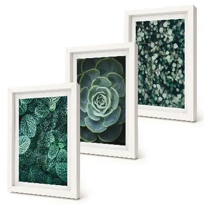 Bilderwand mit grünen Sukkulentenblättern und zarten Zweigen