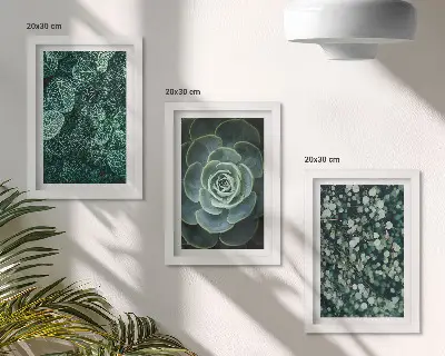 Bilderwand mit grünen Sukkulentenblättern und zarten Zweigen