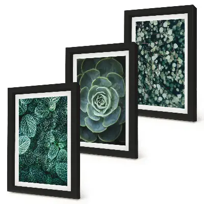 Bilderwand mit grünen Sukkulentenblättern und zarten Zweigen