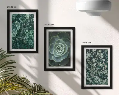 Bilderwand mit grünen Sukkulentenblättern und zarten Zweigen