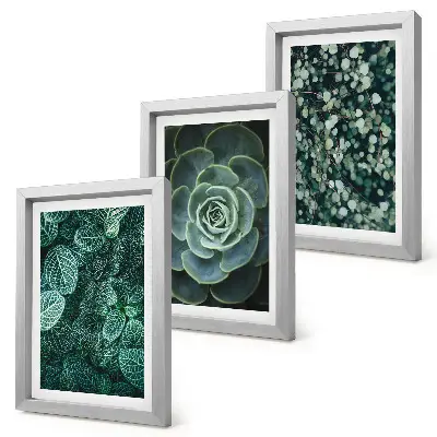 Bilderwand mit grünen Sukkulentenblättern und zarten Zweigen