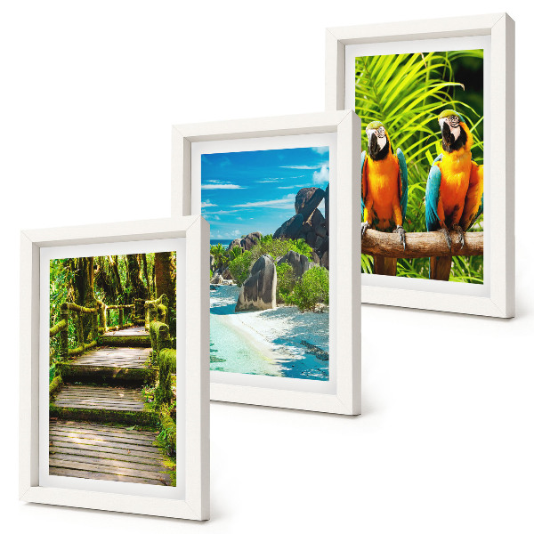 Bilderwand Tropischer Wald mit Wasserfall und bunten Papageien