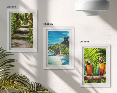 Bilderwand Tropischer Wald mit Wasserfall und bunten Papageien