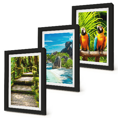 Bilderwand Tropischer Wald mit Wasserfall und bunten Papageien