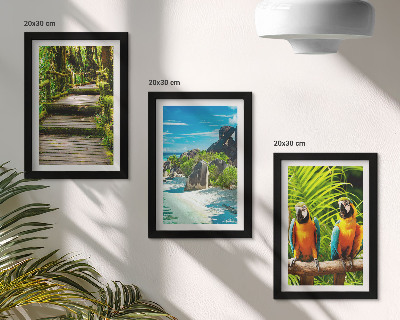 Bilderwand Tropischer Wald mit Wasserfall und bunten Papageien