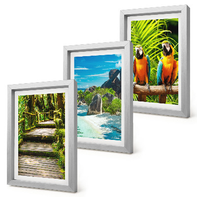 Bilderwand Tropischer Wald mit Wasserfall und bunten Papageien