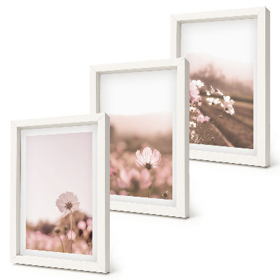 Bilderset mit rahmen Wildblumen auf den Wiesen im Sommer, romantische Landschaften