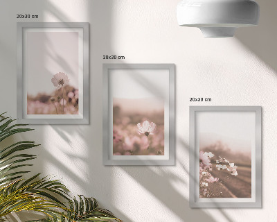 Bilderset mit rahmen Wildblumen auf den Wiesen im Sommer, romantische Landschaften