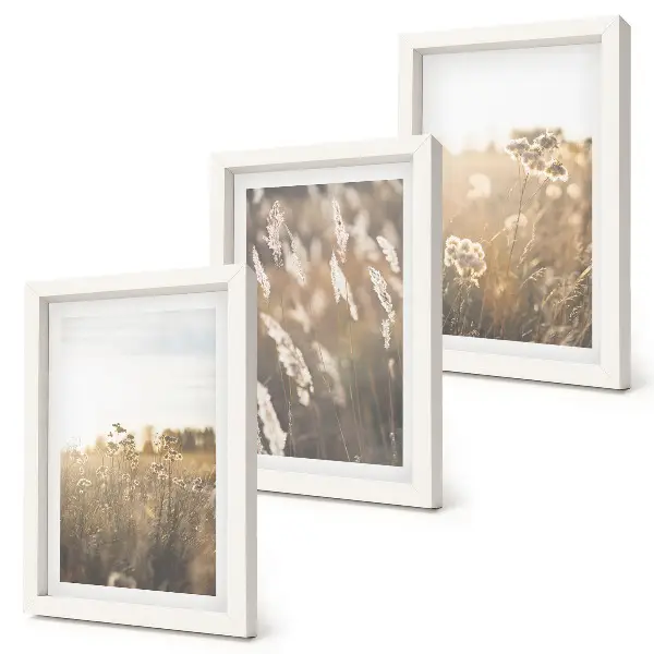 Fotowand Landschaft mit Gräsern und Blumen in warmen Farbtönen