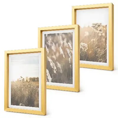 Fotowand Landschaft mit Gräsern und Blumen in warmen Farbtönen