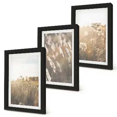 Fotowand Landschaft mit Gräsern und Blumen in warmen Farbtönen