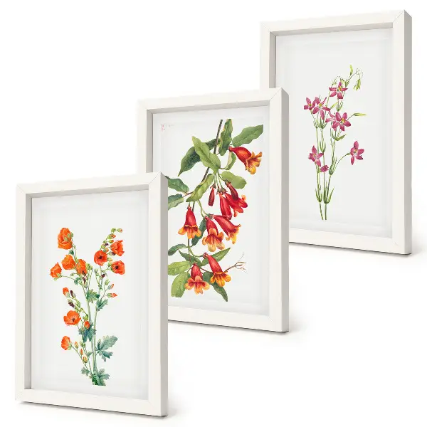 Fotowand mit Vintage-Retro-Blumenmalerei