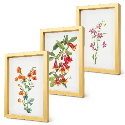 Fotowand mit Vintage-Retro-Blumenmalerei