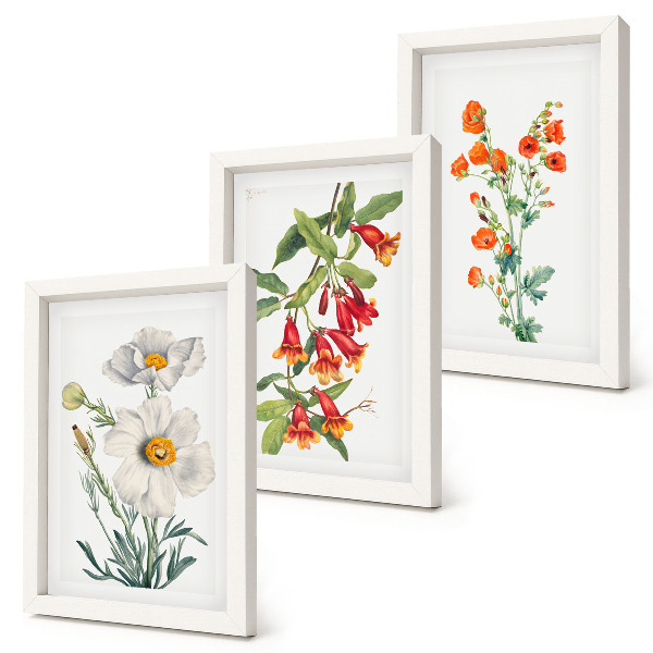 Bilderwand Blumenkompositionen im Retro-Vintage-Stil