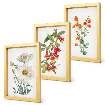 Bilderwand Blumenkompositionen im Retro-Vintage-Stil