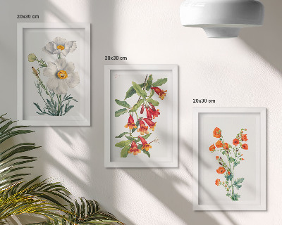 Bilderwand Blumenkompositionen im Retro-Vintage-Stil
