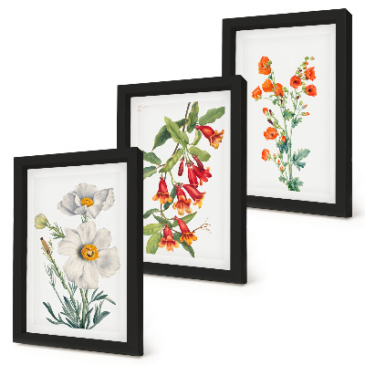 Bilderwand Blumenkompositionen im Retro-Vintage-Stil
