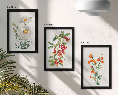 Bilderwand Blumenkompositionen im Retro-Vintage-Stil