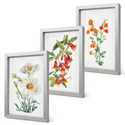 Bilderwand Blumenkompositionen im Retro-Vintage-Stil