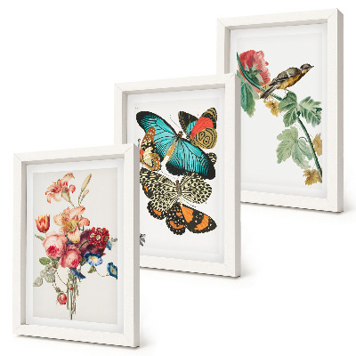 Bilderset mit rahmen Blumen, Schmetterlinge und ein Vogel in Pastelltönen