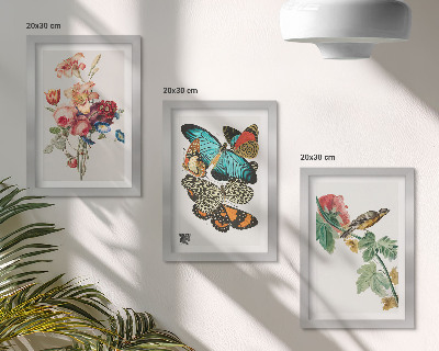 Bilderset mit rahmen Blumen, Schmetterlinge und ein Vogel in Pastelltönen