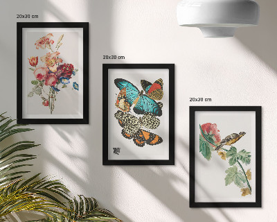 Bilderset mit rahmen Blumen, Schmetterlinge und ein Vogel in Pastelltönen