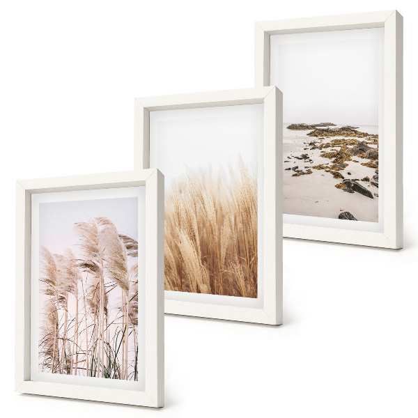Bilderwand Pampasgrasfelder und ein Boho-Strand