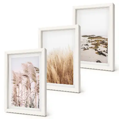 Bilderwand mit Pampasgrasfeldern und Boho-Strandmotiv