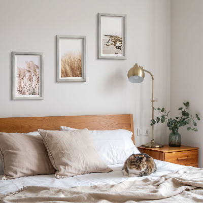 Bilderwand Pampasgrasfelder und ein Boho-Strand