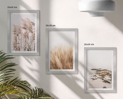 Bilderwand Pampasgrasfelder und ein Boho-Strand