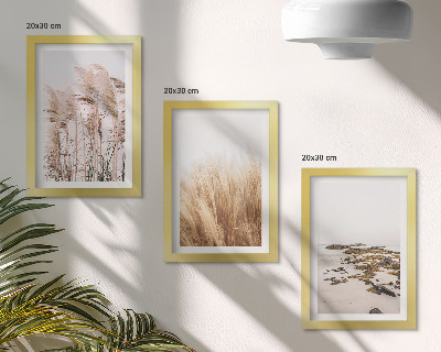 Bilderwand Pampasgrasfelder und ein Boho-Strand