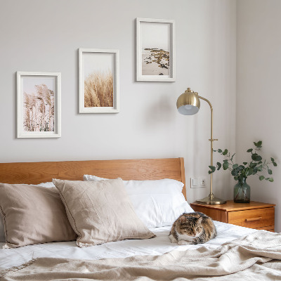 Bilderwand Pampasgrasfelder und ein Boho-Strand