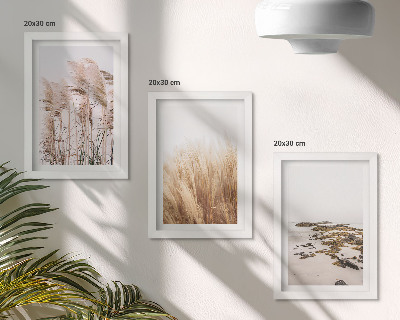 Bilderwand Pampasgrasfelder und ein Boho-Strand