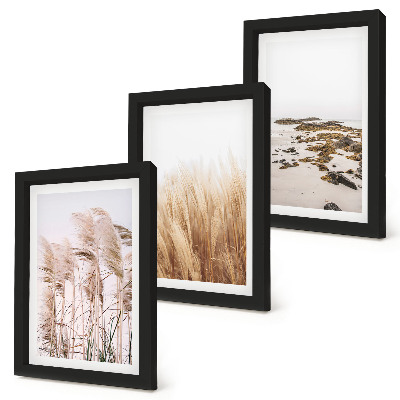 Bilderwand Pampasgrasfelder und ein Boho-Strand