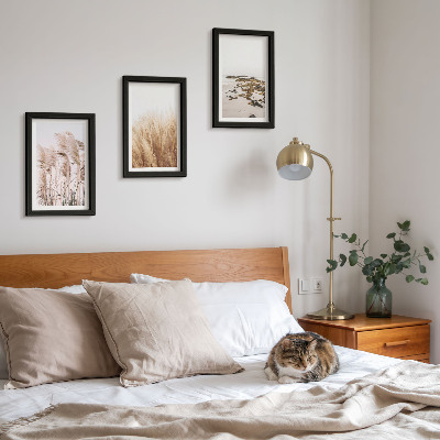 Bilderwand Pampasgrasfelder und ein Boho-Strand