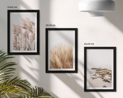 Bilderwand Pampasgrasfelder und ein Boho-Strand