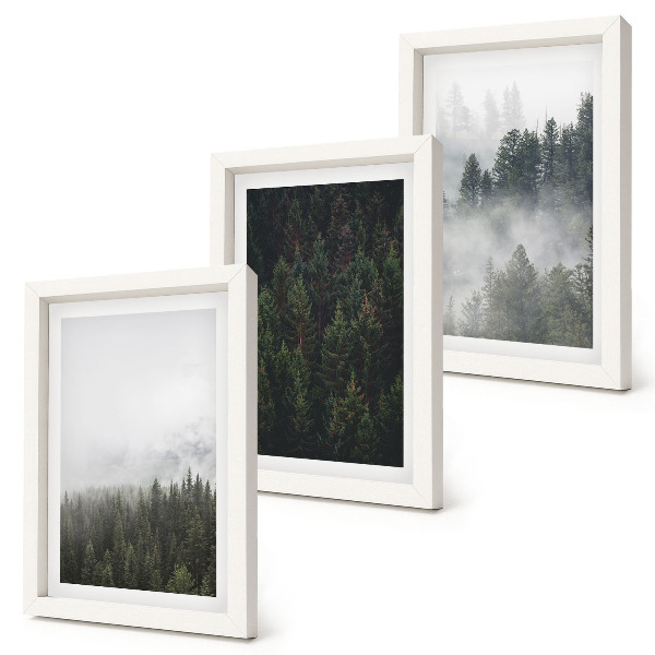 Bilderwand Grüne Wälder in einer nebligen Naturlandschaft