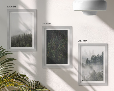 Bilderwand Grüne Wälder in einer nebligen Naturlandschaft