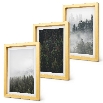 Bilderwand Grüne Wälder in einer nebligen Naturlandschaft