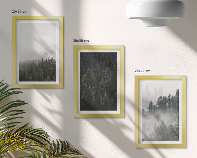 Bilderwand Grüne Wälder in einer nebligen Naturlandschaft