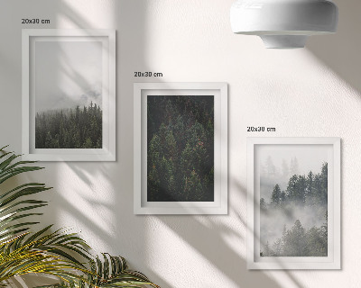 Bilderwand Grüne Wälder in einer nebligen Naturlandschaft