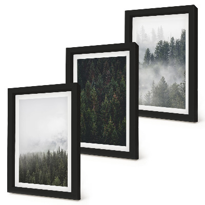 Bilderwand Grüne Wälder in einer nebligen Naturlandschaft