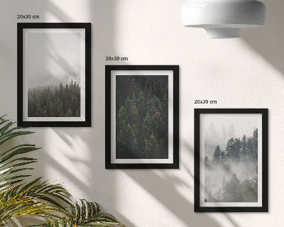 Bilderwand Grüne Wälder in einer nebligen Naturlandschaft