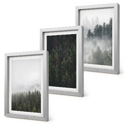 Bilderwand Grüne Wälder in einer nebligen Naturlandschaft