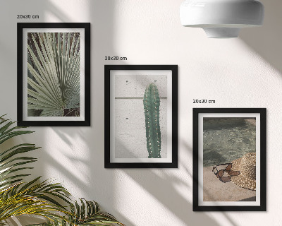 Bilderwand Tropische Pflanzen und Urlaubsaccessoires für die Küste