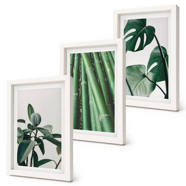 Fotowand Bambusstängel, Zimmerpflanze und Monstera-Blätter