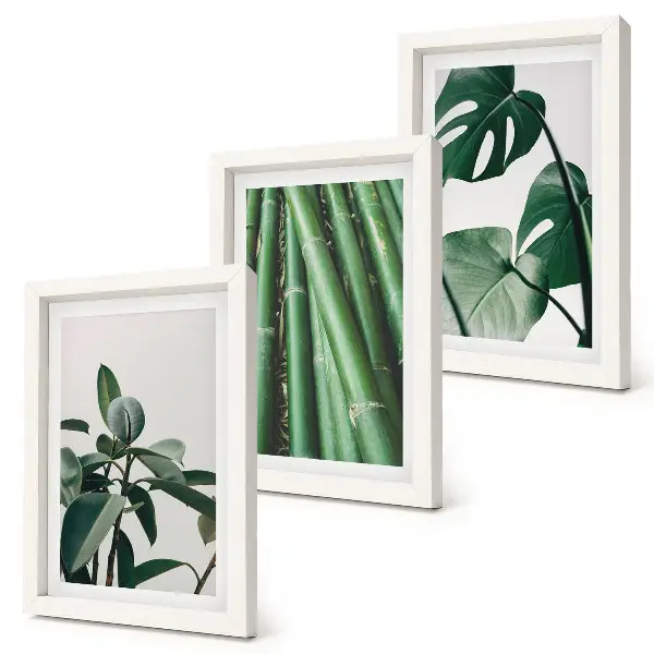 Fotowand mit Bambusstängeln, Zimmerpflanze und Monstera-Blättern