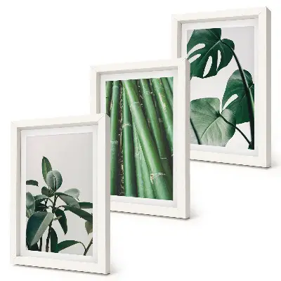 Fotowand mit Bambusstängeln, Zimmerpflanze und Monstera-Blättern