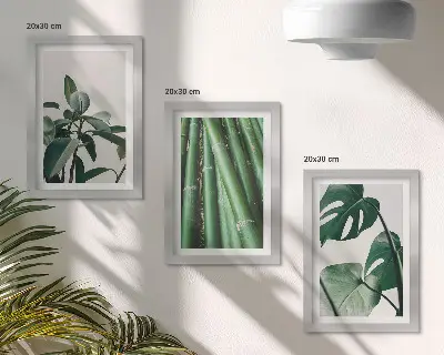 Fotowand mit Bambusstängeln, Zimmerpflanze und Monstera-Blättern